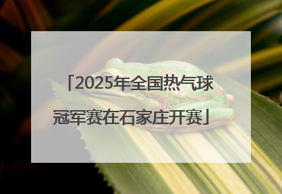 2025年全国热气球冠军赛在石家庄开赛