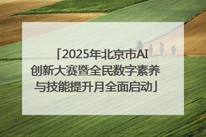 2025年北京市AI创新大赛暨全民数字素养与技能提升月全面启动