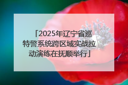 2025年辽宁省巡特警系统跨区域实战拉动演练在抚顺举行