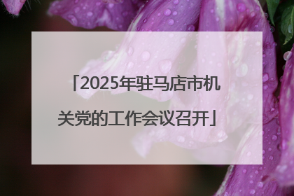 2025年驻马店市机关党的工作会议召开