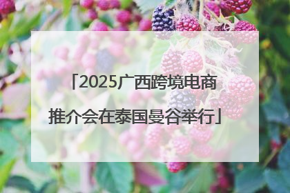2025广西跨境电商推介会在泰国曼谷举行