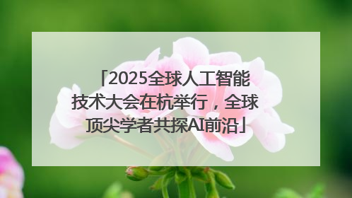 2025全球人工智能技术大会在杭举行，全球顶尖学者共探AI前沿