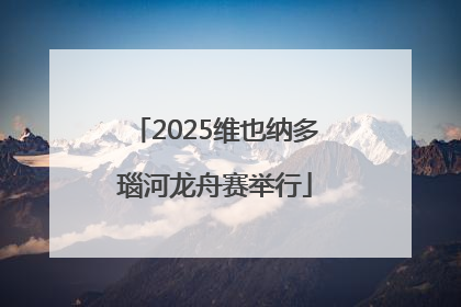2025维也纳多瑙河龙舟赛举行