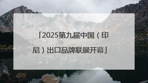 2025第九届中国（印尼）出口品牌联展开幕