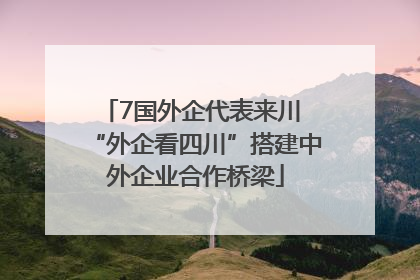 7国外企代表来川 “外企看四川”搭建中外企业合作桥梁