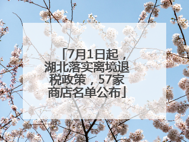 7月1日起，湖北落实离境退税政策，57家商店名单公布
