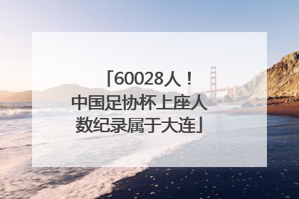 60028人！中国足协杯上座人数纪录属于大连