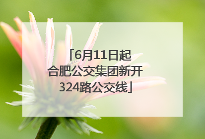 6月11日起 合肥公交集团新开324路公交线