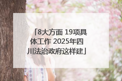 8大方面 19项具体工作 2025年四川法治政府这样建