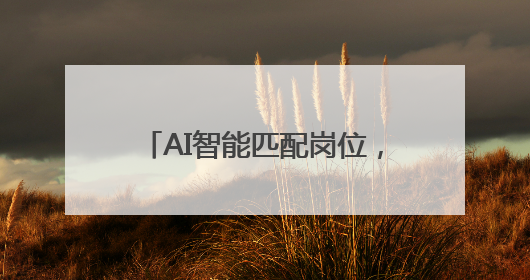 AI智能匹配岗位，石鼓区这样为高校毕业生“职引未来”