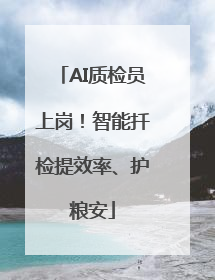 AI质检员上岗！智能扦检提效率、护粮安
