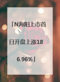 N海阳上市首日开盘上涨186.96%