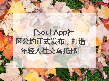 Soul App社区公约正式发布，打造年轻人社交乌托邦