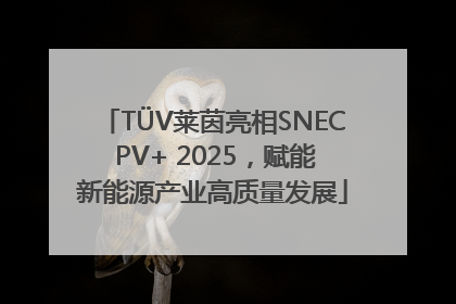 TÜV莱茵亮相SNEC PV+ 2025，赋能新能源产业高质量发展